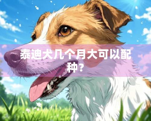 泰迪犬几个月大可以配种？