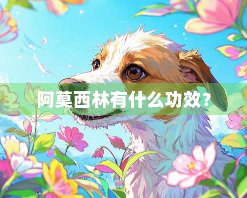 阿莫西林有什么功效？