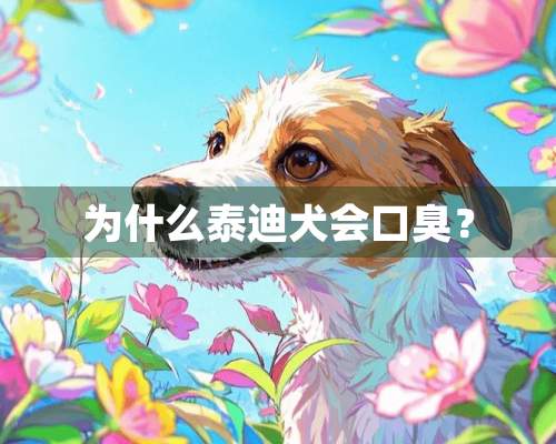 为什么泰迪犬会口臭？