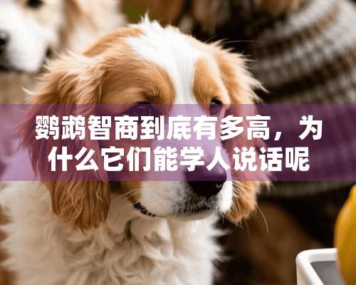 鹦鹉智商到底有多高，为什么它们能学人说话呢？