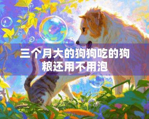 三个月大的狗狗吃的狗粮还用不用泡