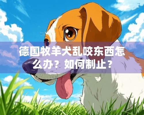 德国牧羊犬乱咬东西怎么办？如何制止？