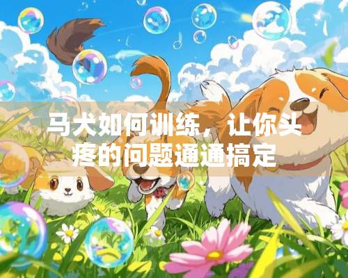 马犬如何训练，让你头疼的问题通通搞定