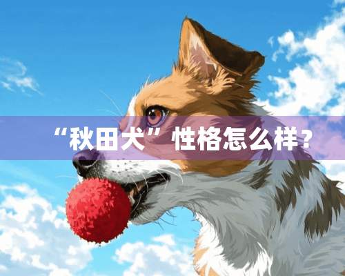 “秋田犬”性格怎么样？