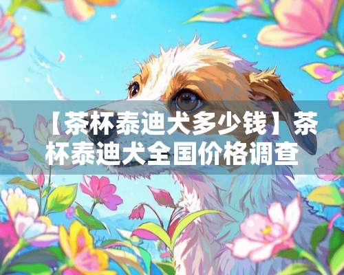 【茶杯泰迪犬多少钱】茶杯泰迪犬全国价格调查