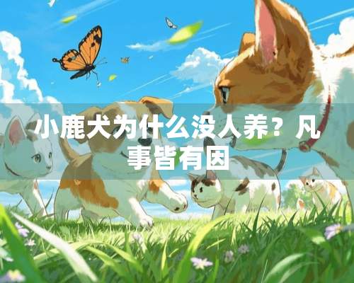 小鹿犬为什么没人养？凡事皆有因