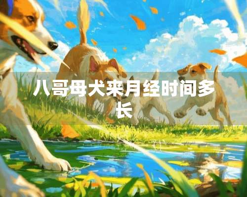 八哥母犬来月经时间多长