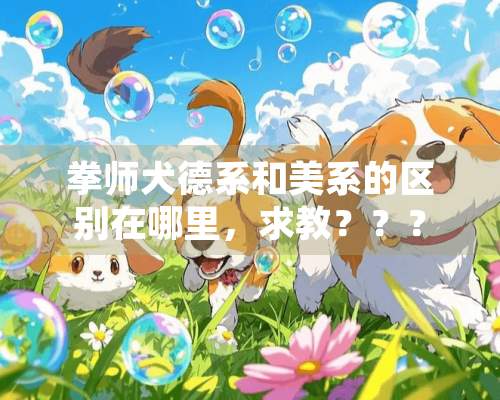 拳师犬德系和美系的区别在哪里，求教？？？