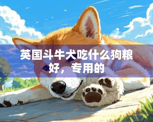 英国斗牛犬吃什么狗粮好，专用的