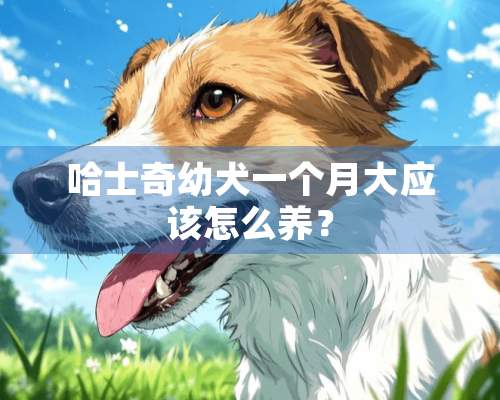 哈士奇幼犬一个月大应该怎么养？