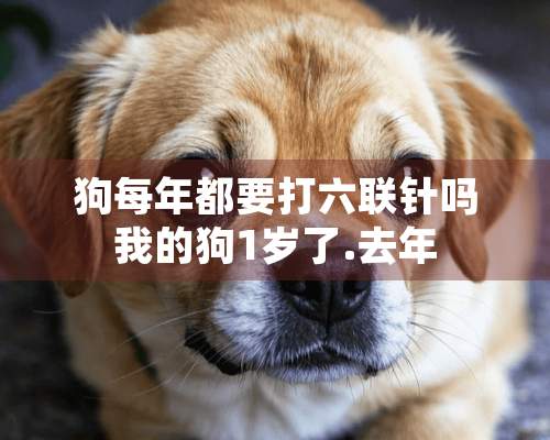 狗每年都要打六联针吗我的狗1岁了.去年