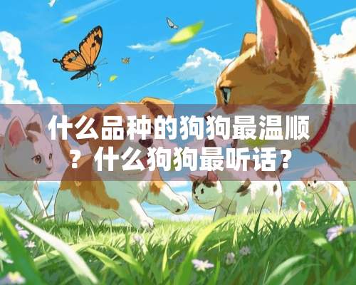 什么品种的狗狗最温顺？什么狗狗最听话？