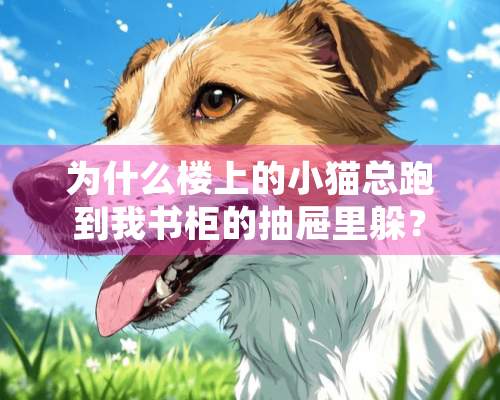 为什么楼上的小猫总跑到我书柜的抽屉里躲？