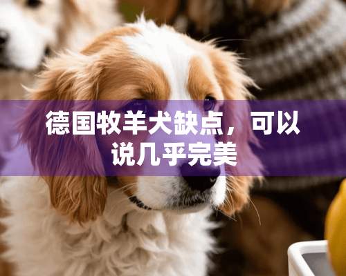 德国牧羊犬缺点，可以说几乎完美