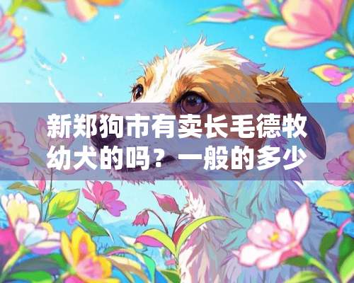 新郑狗市有卖长毛德牧幼犬的吗？一般的多少钱？