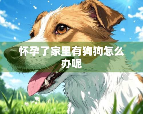 怀孕了家里有狗狗怎么办呢