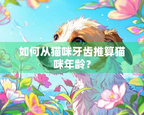 如何从猫咪牙齿推算猫咪年龄？