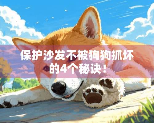 保护沙发不被狗狗抓坏的4个秘诀！