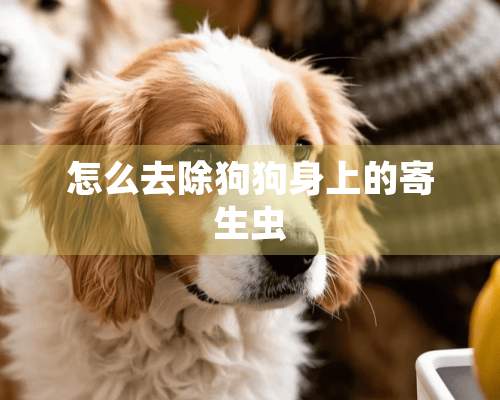 怎么去除狗狗身上的寄生虫