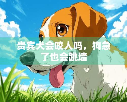 贵宾犬会咬人吗，狗急了也会跳墙