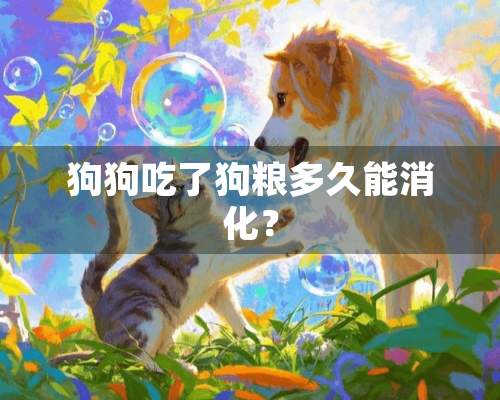 狗狗吃了狗粮多久能消化？