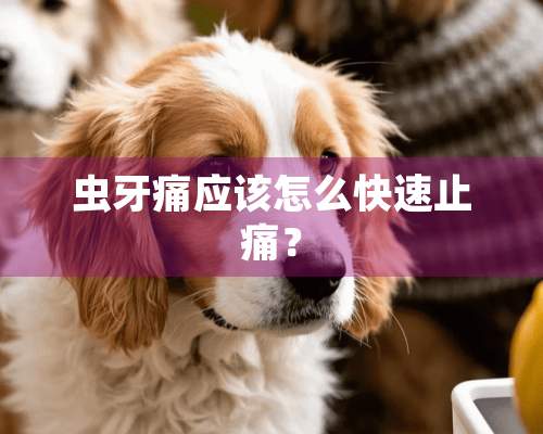 虫牙痛应该怎么快速止痛？