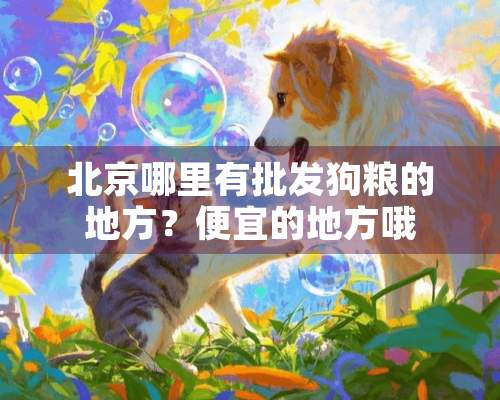 北京哪里有批发狗粮的地方？便宜的地方哦