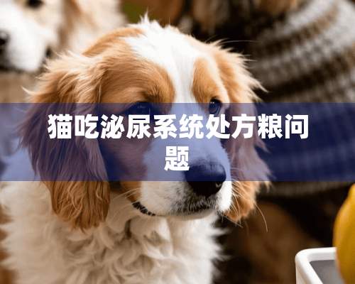 猫吃泌尿系统处方粮问题