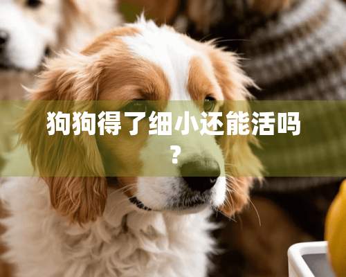 狗狗得了细小还能活吗？