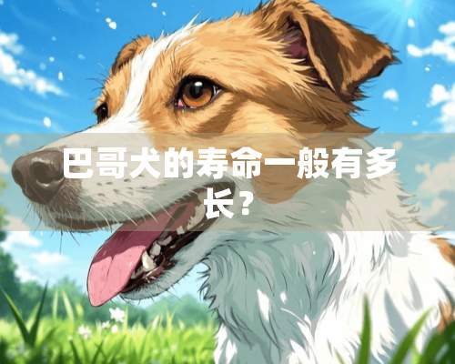 巴哥犬的寿命一般有多长？