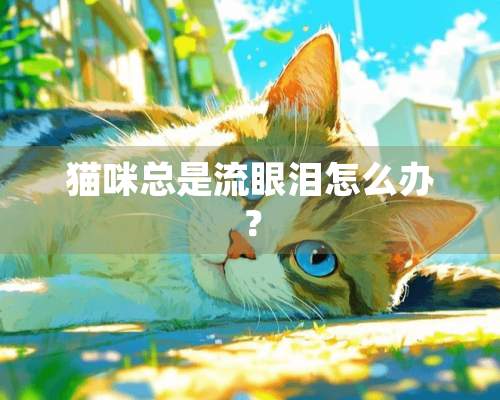 猫咪总是流眼泪怎么办？