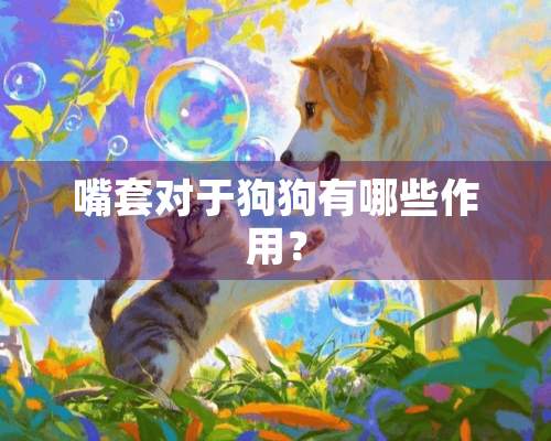 嘴套对于狗狗有哪些作用？