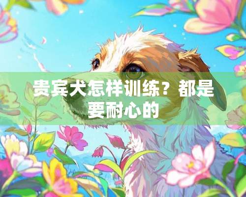 贵宾犬怎样训练？都是要耐心的