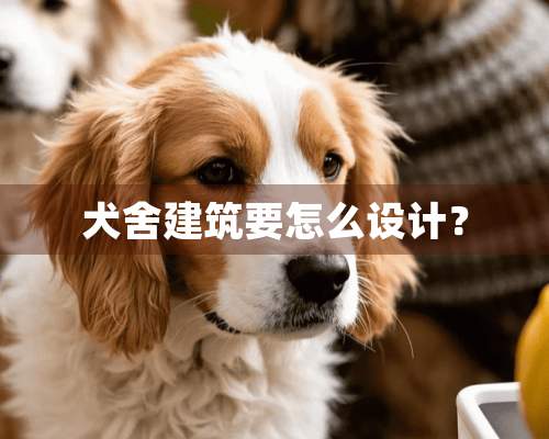 犬舍建筑要怎么设计？