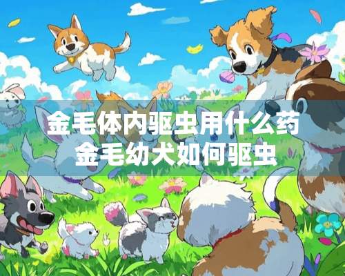 金毛体内驱虫用什么药 金毛幼犬如何驱虫