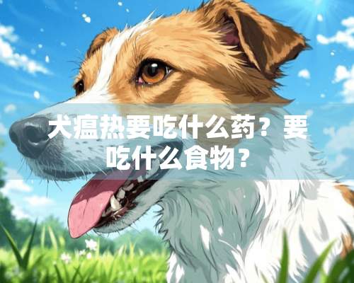 犬瘟热要吃什么药？要吃什么食物？