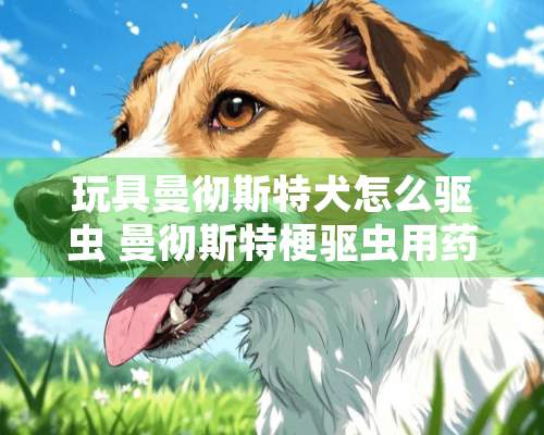 玩具曼彻斯特犬怎么驱虫 曼彻斯特梗驱虫用药