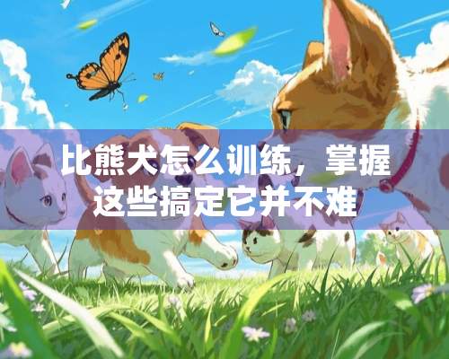 比熊犬怎么训练，掌握这些搞定它并不难