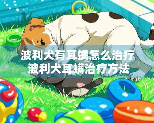 波利犬有耳螨怎么治疗 波利犬耳螨治疗方法