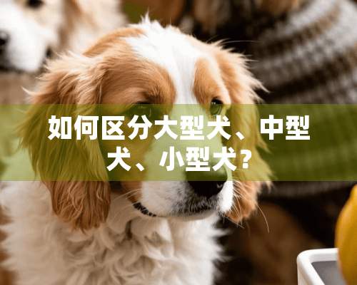 如何区分大型犬、中型犬、小型犬？