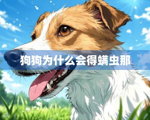 狗狗为什么会得螨虫那