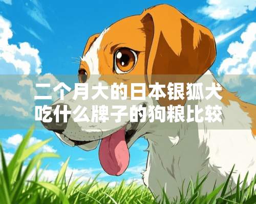 二个月大的日本银狐犬吃什么牌子的狗粮比较好？