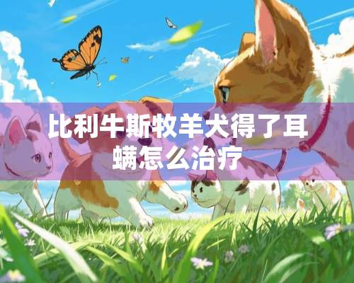 比利牛斯牧羊犬得了耳螨怎么治疗