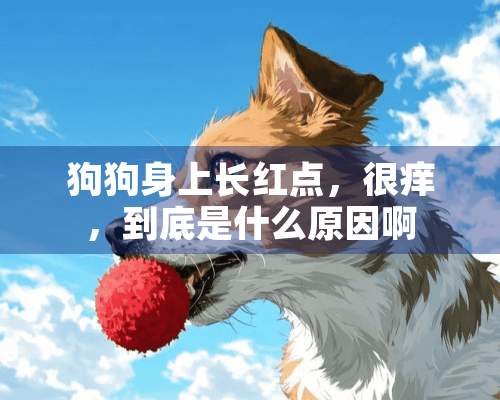 狗狗身上长红点，很痒，到底是什么原因啊