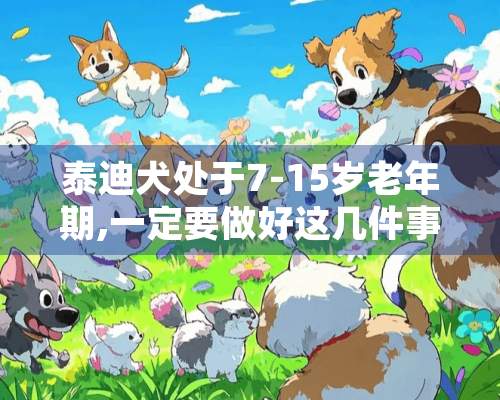 泰迪犬处于7-15岁老年期,一定要做好这几件事!