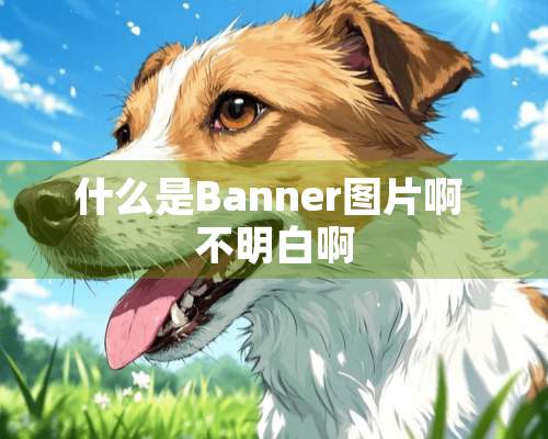 什么是Banner图片啊 不明白啊