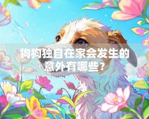 狗狗独自在家会发生的意外有哪些？