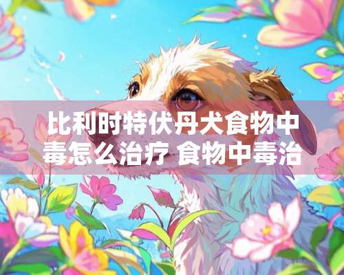 比利时特伏丹犬食物中毒怎么治疗 食物中毒治疗方法