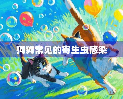 狗狗常见的寄生虫感染