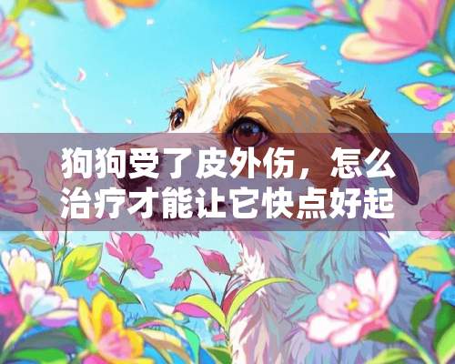 狗狗受了皮外伤，怎么治疗才能让它快点好起来？